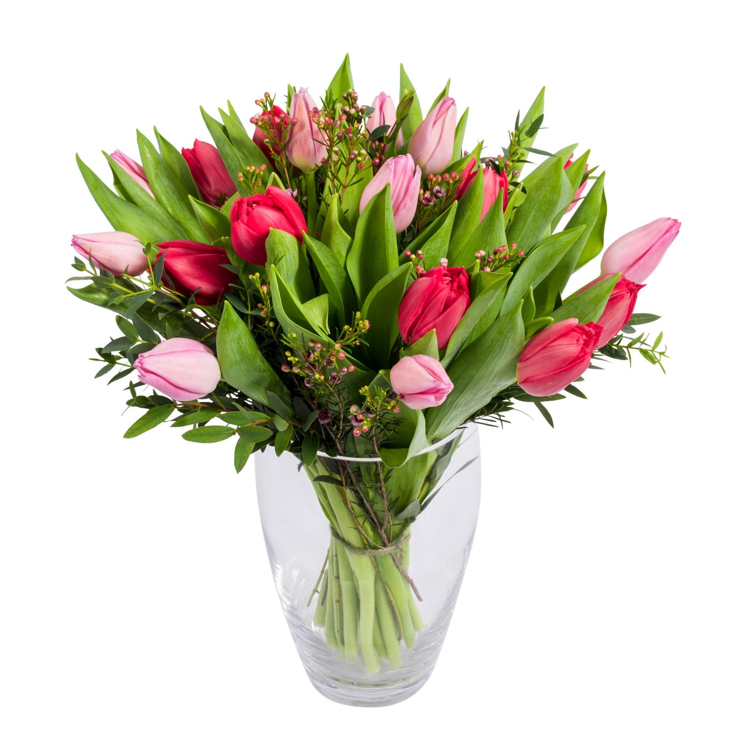 product image for Red and Pink Tulips