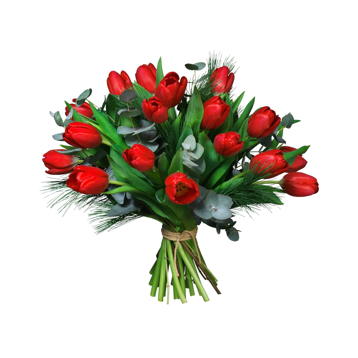 product image for Red Tulips