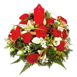 Holiday Arrangement / Christmas Arrangement