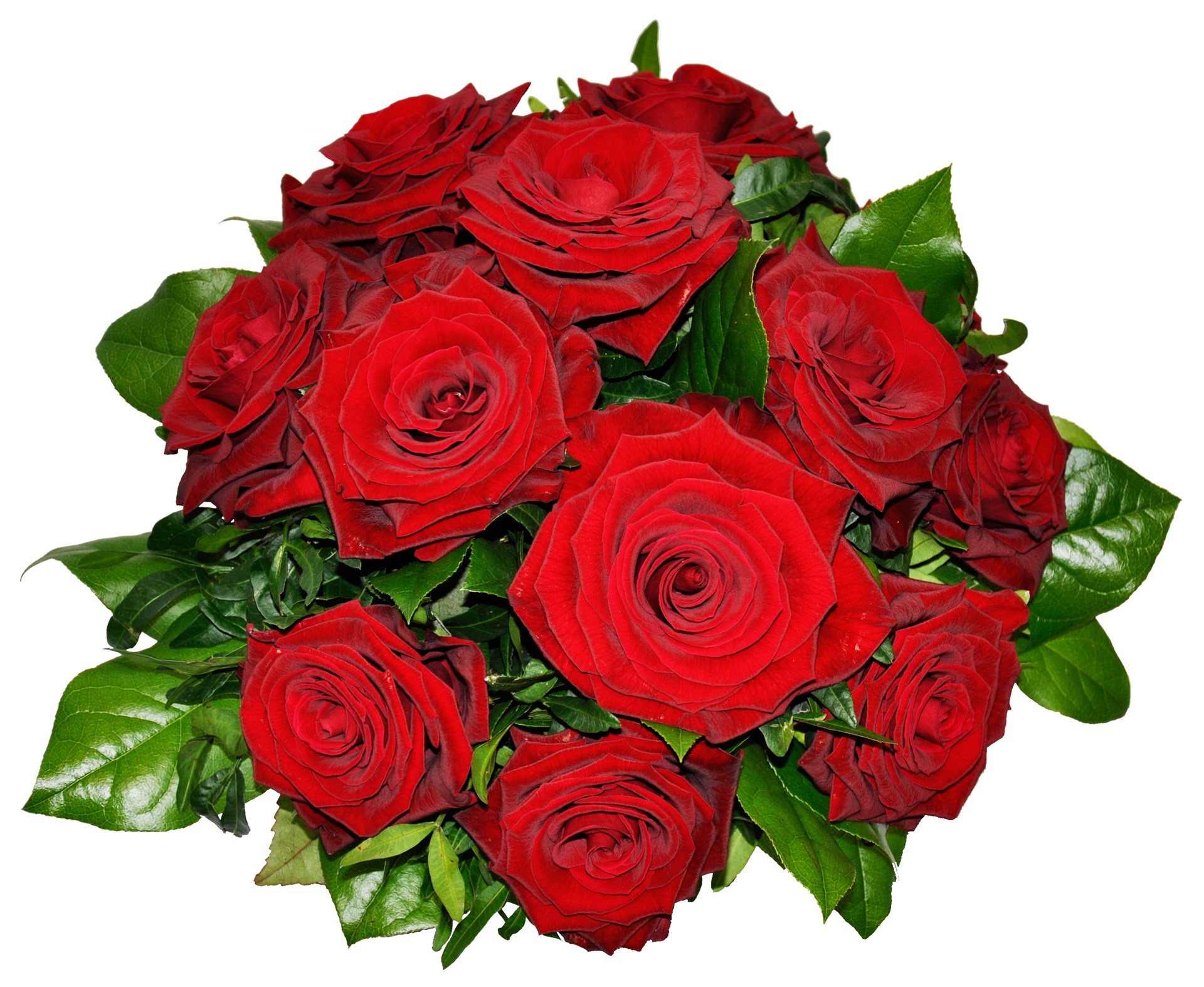 product image for Tantalizing 12 Roses