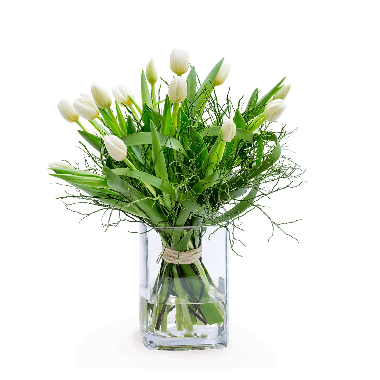 product image for SPRING'S GREETINGS