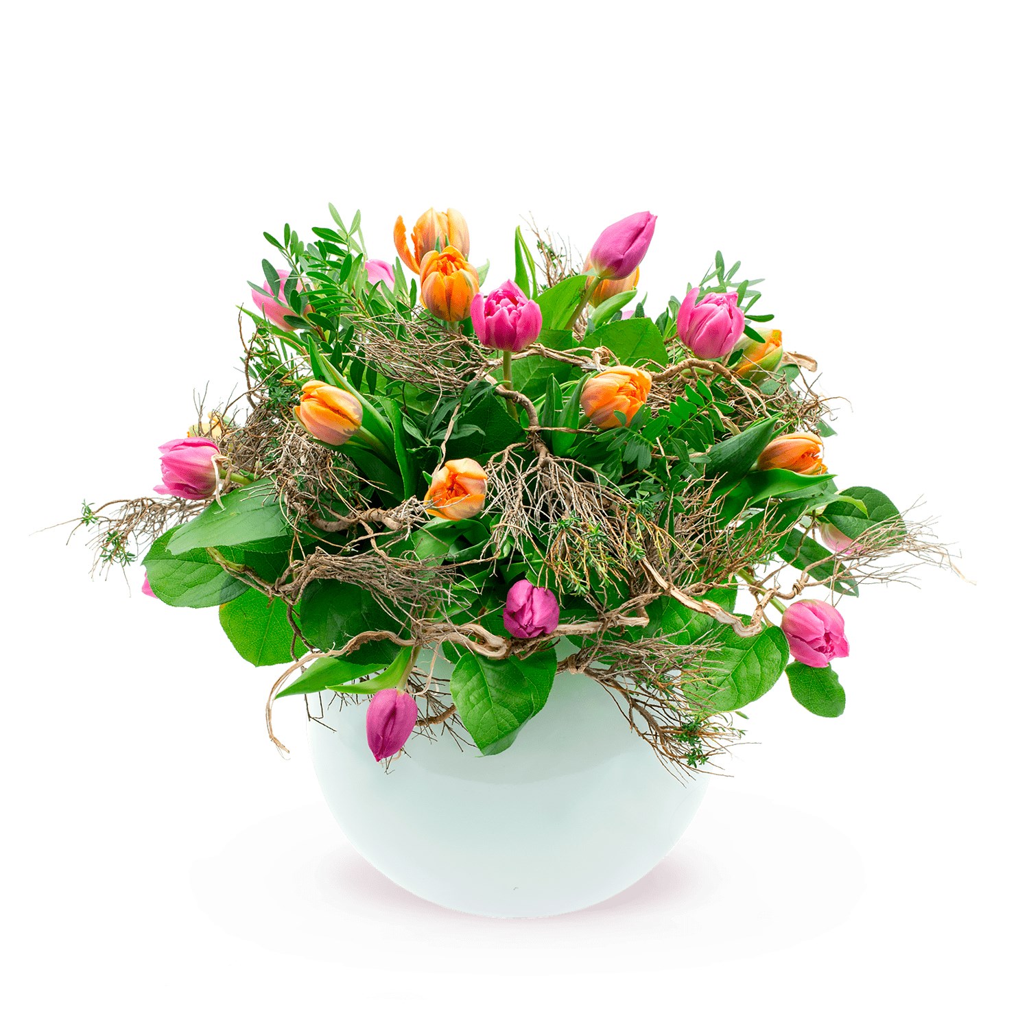 product image for WILD SPRING