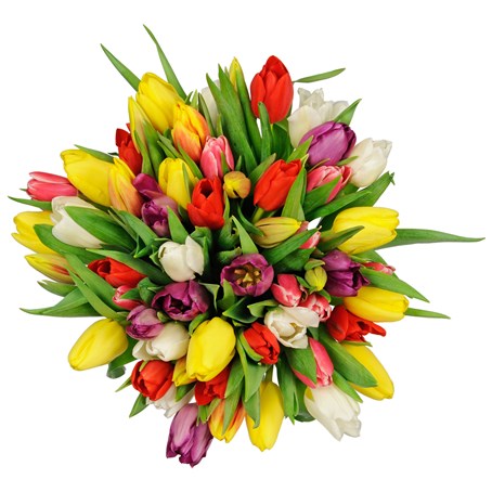 Seasonal Tulips Bouquet