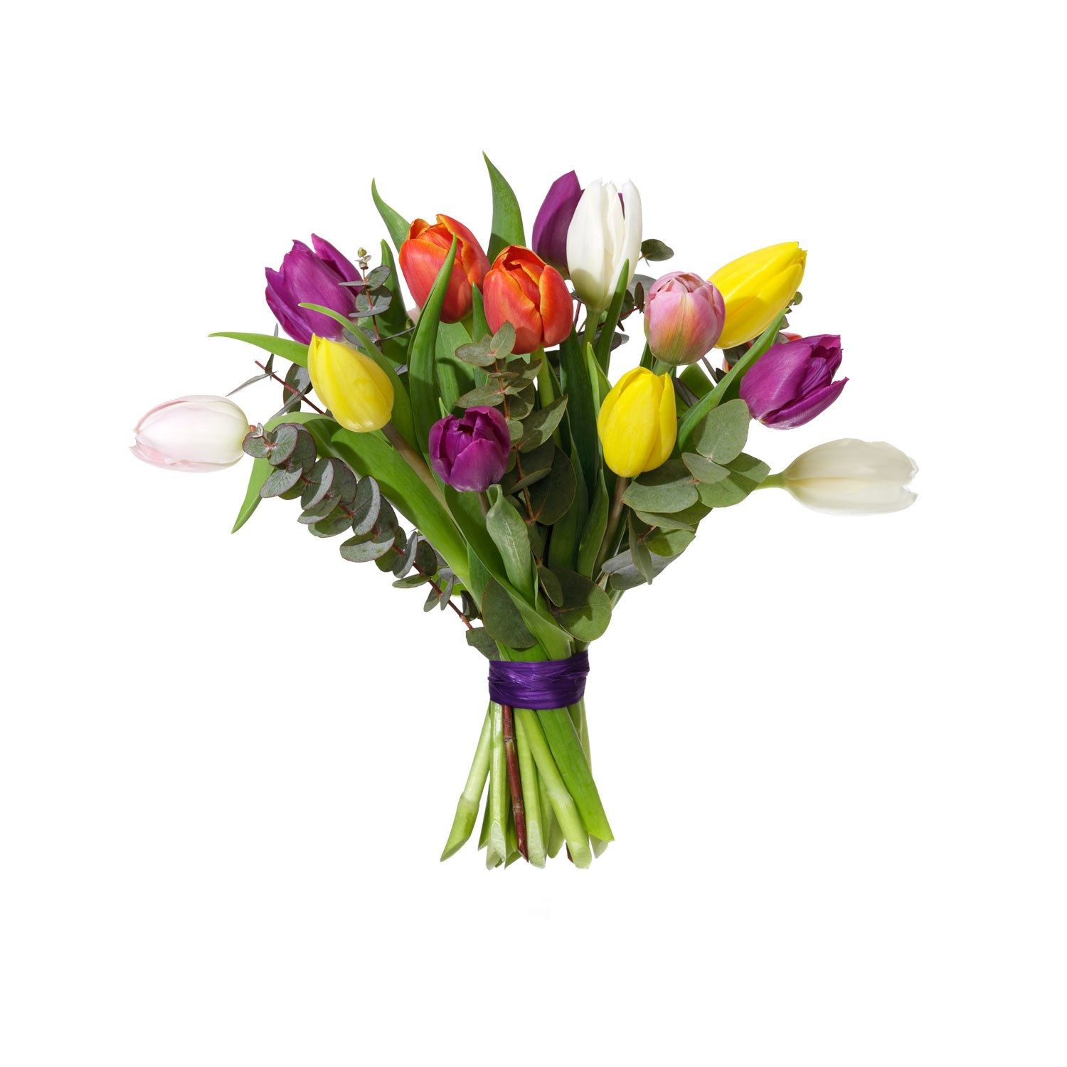 product image for Mixed tulips
