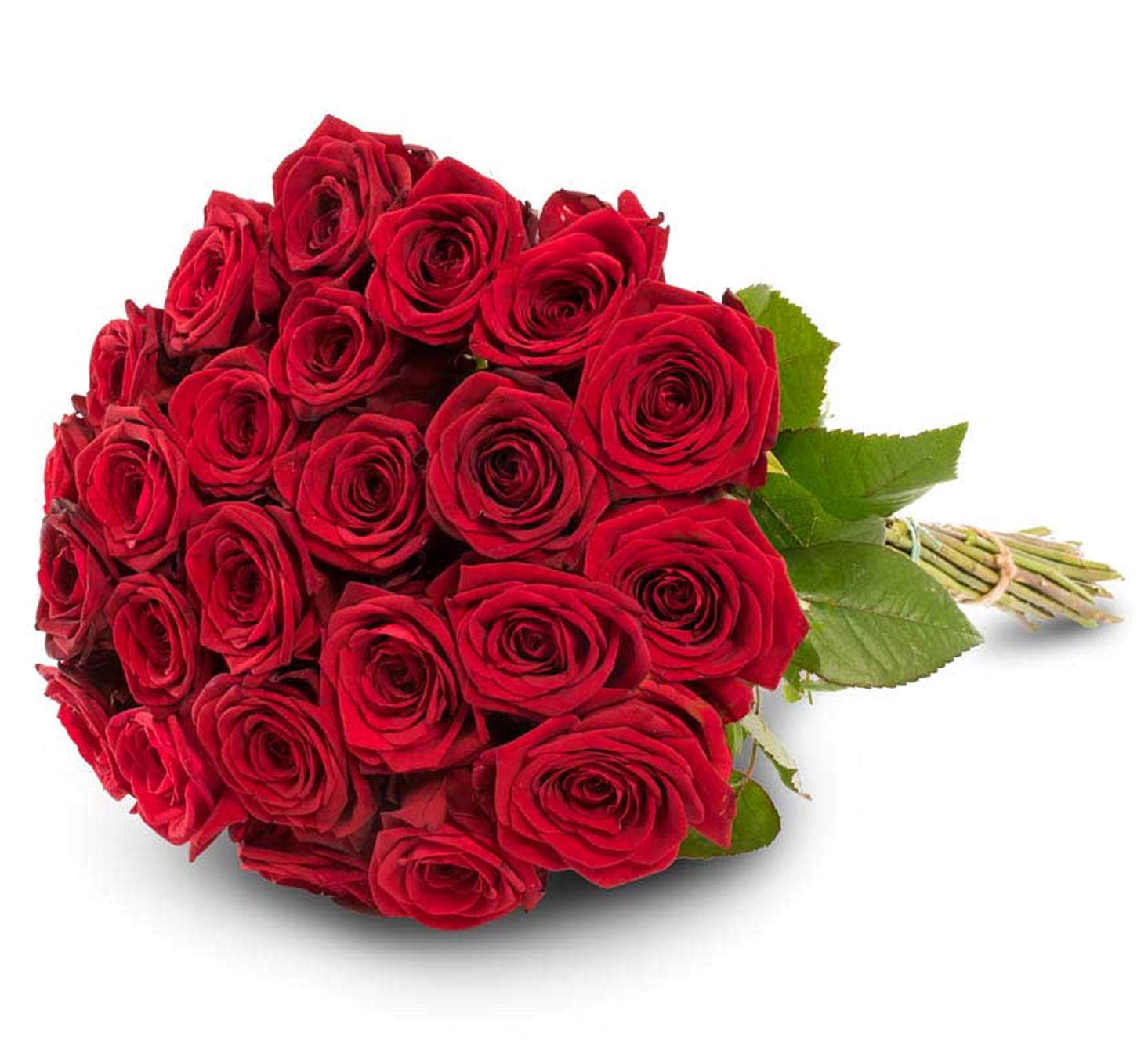 product image for 24 red roses