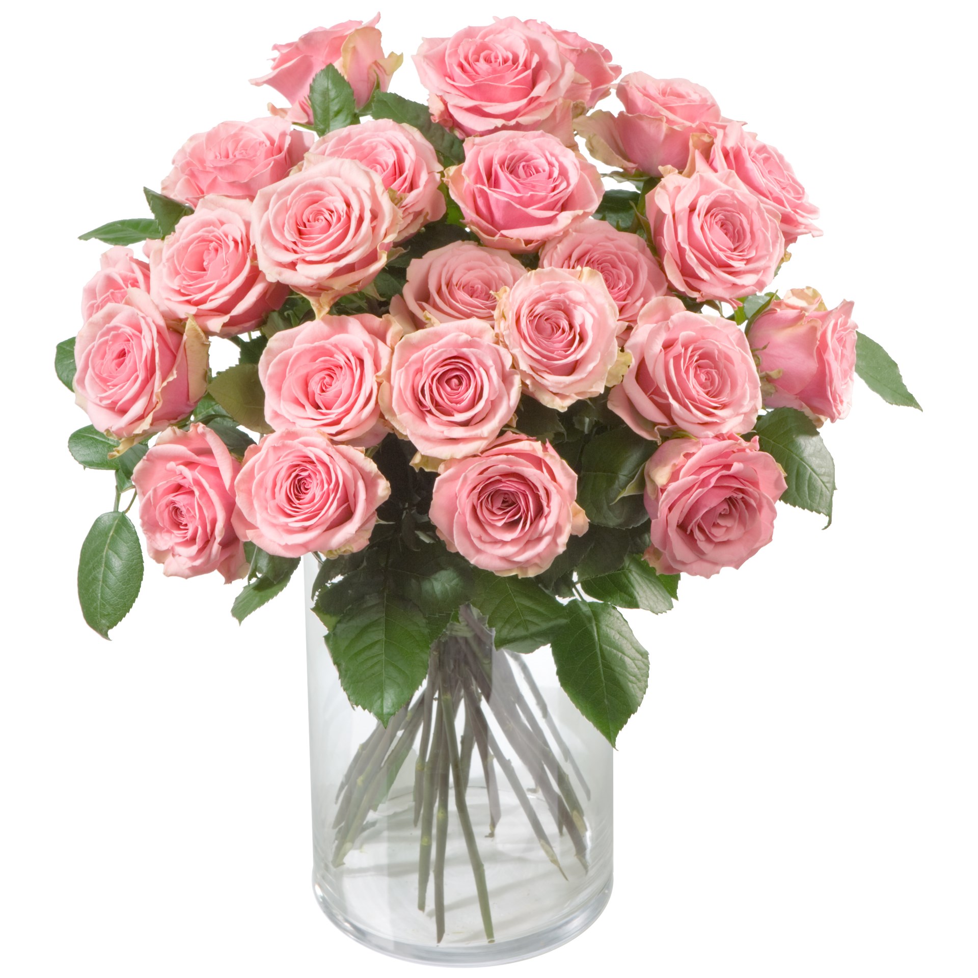 product image for Pink Roses