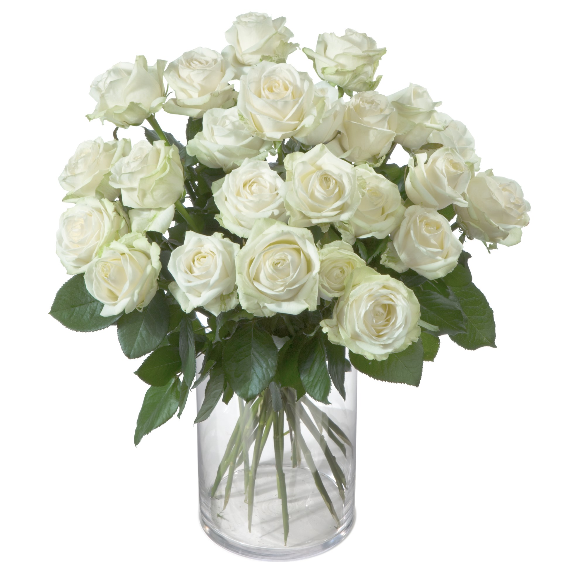 product image for Pearl White Roses
