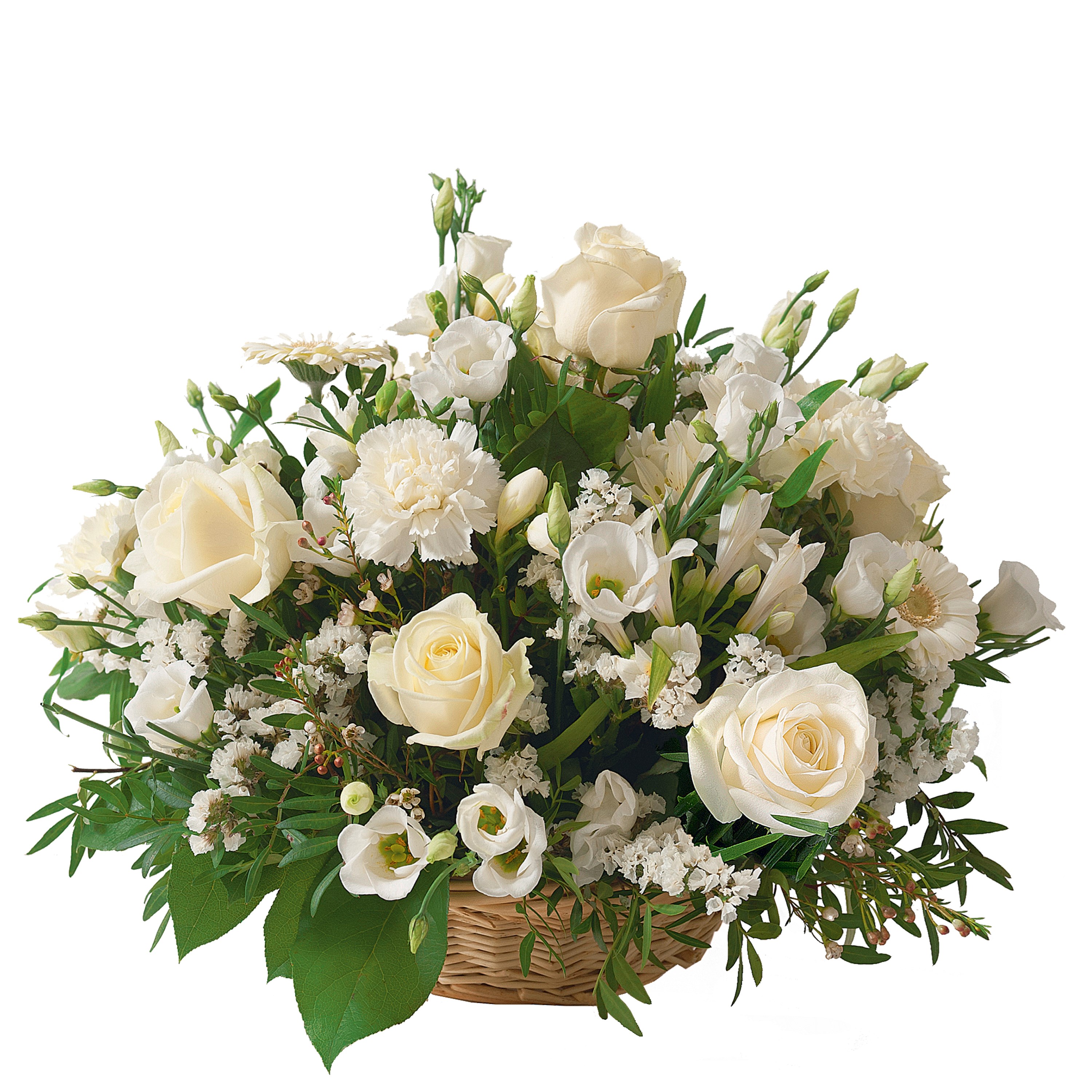 Snow White Arrangement