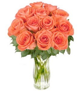 Bunch of Orange Roses "Bliss" (without vase)
