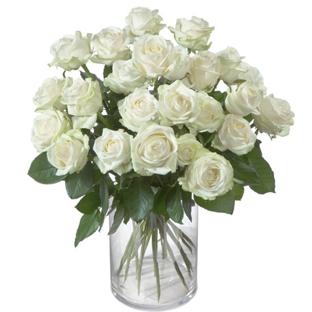 Pearl White Roses