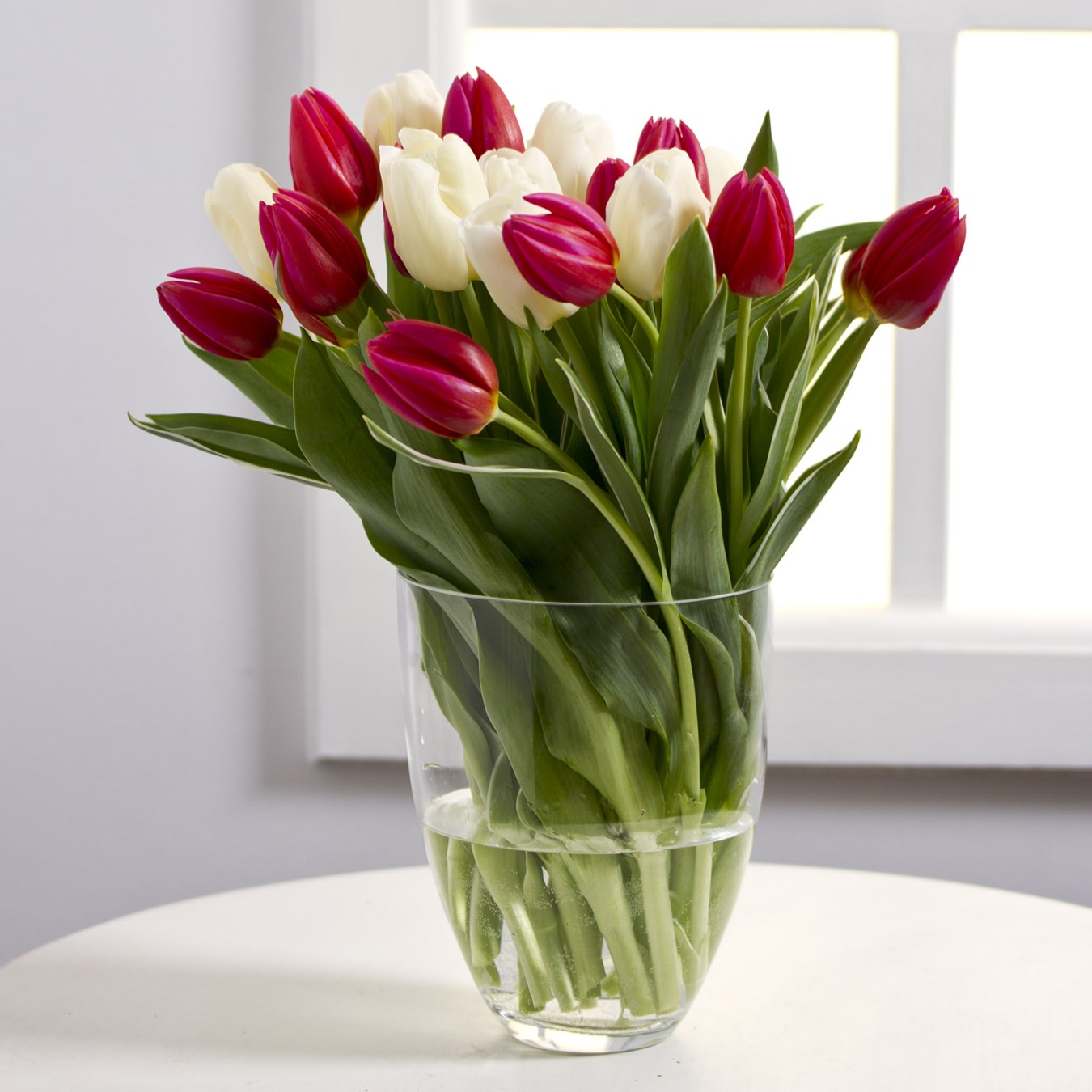 Bouquet of White and Red Tulips