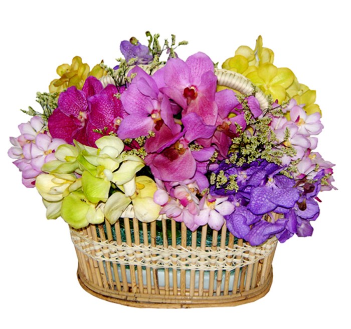 product image for Colourful Orchids