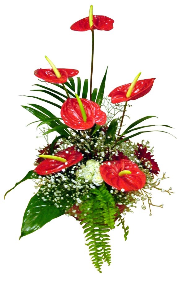 product image for Arrangement of Cut Flowers