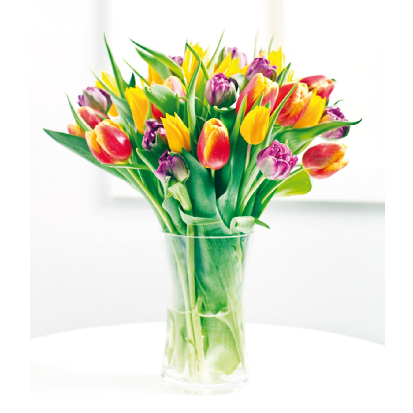 Card - Tulips