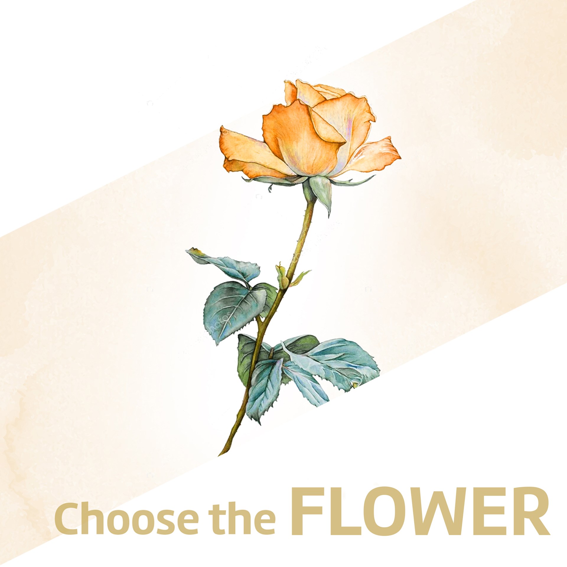 product image for Single Flower