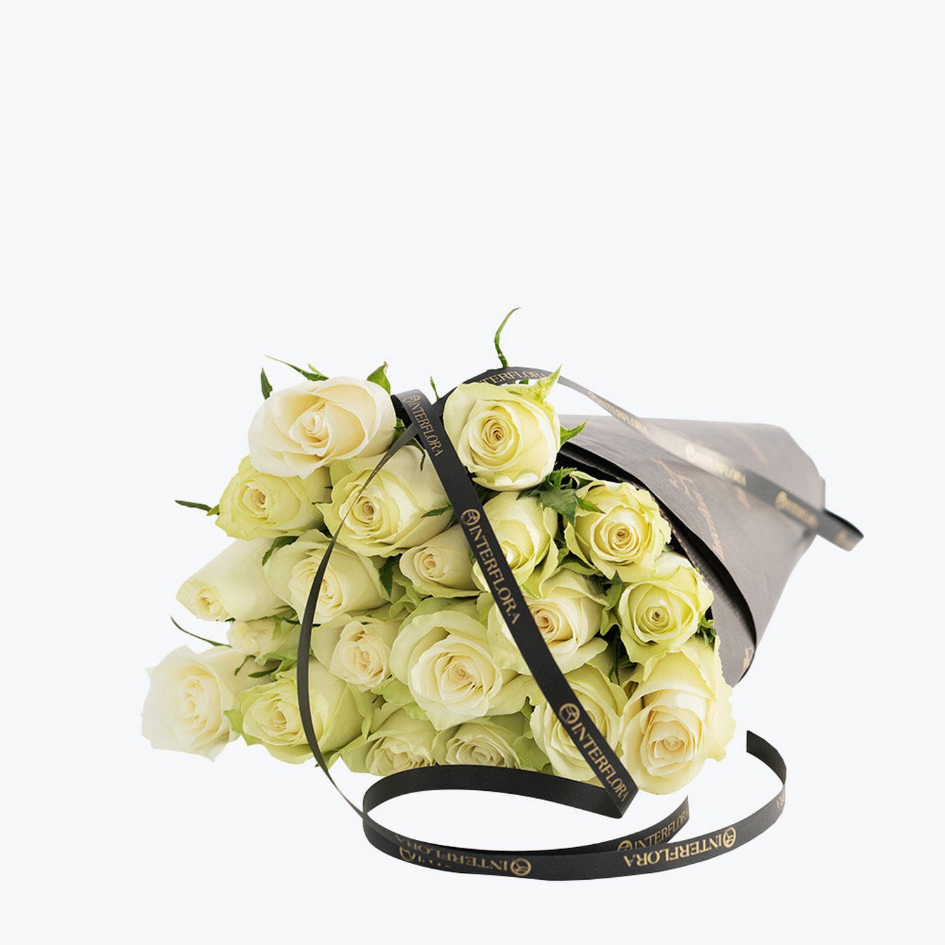 product image for 20 White Roses Gift Wrapped 190444