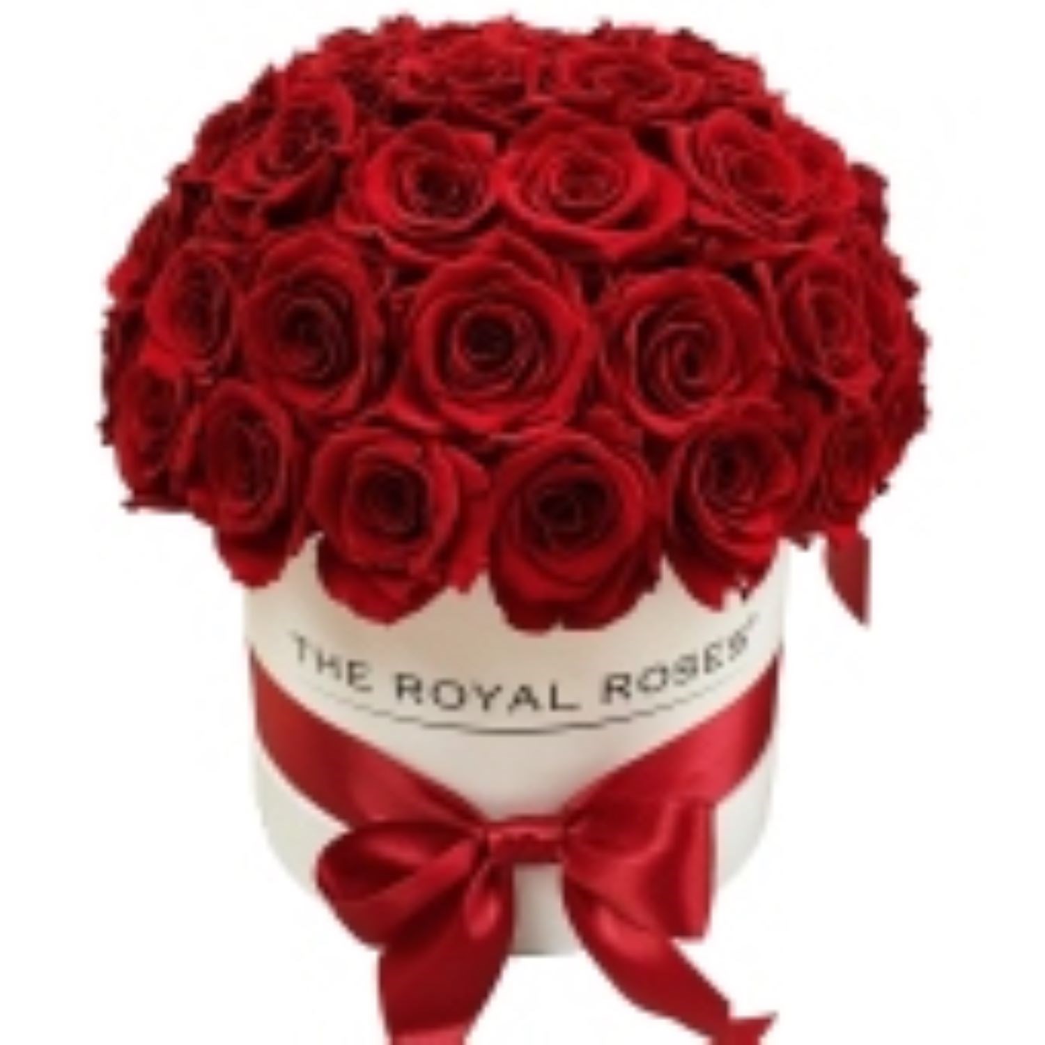 Box with 41 Red Roses