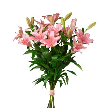 Bouquet Pink lilies