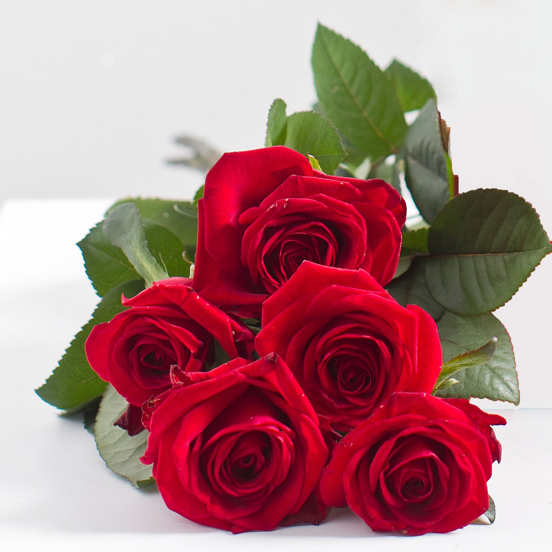 product image for Bouquet of 5 Red Roses