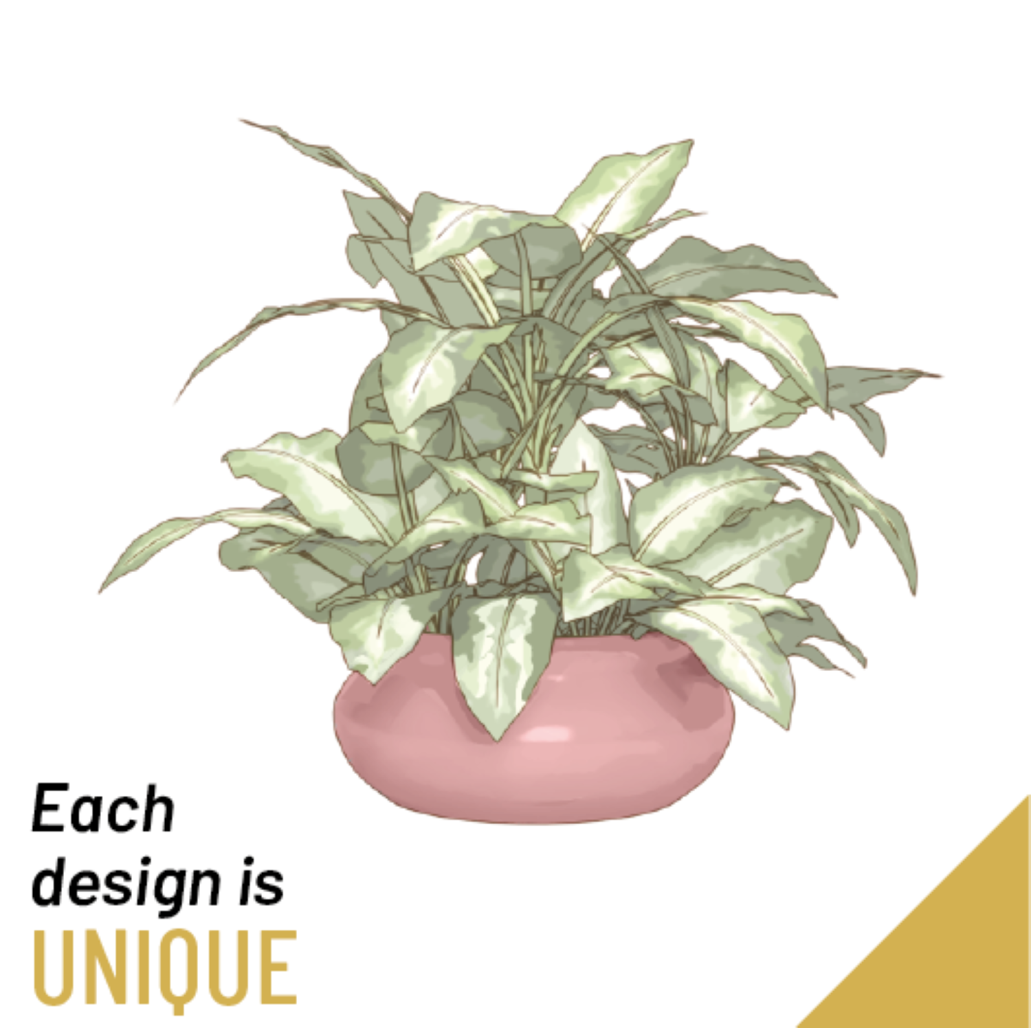 product image for Seasonal Single Plant