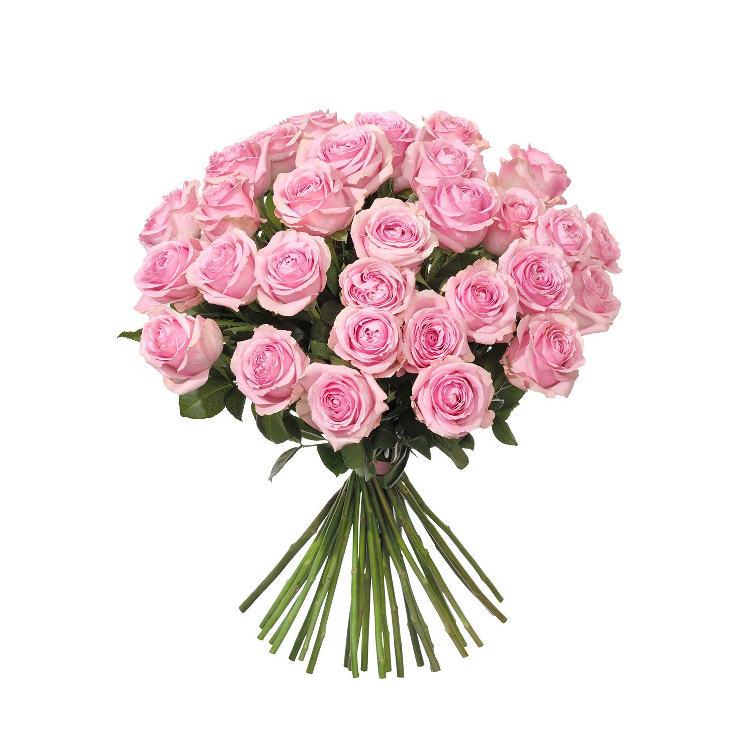 product image for 30 Pink Roses