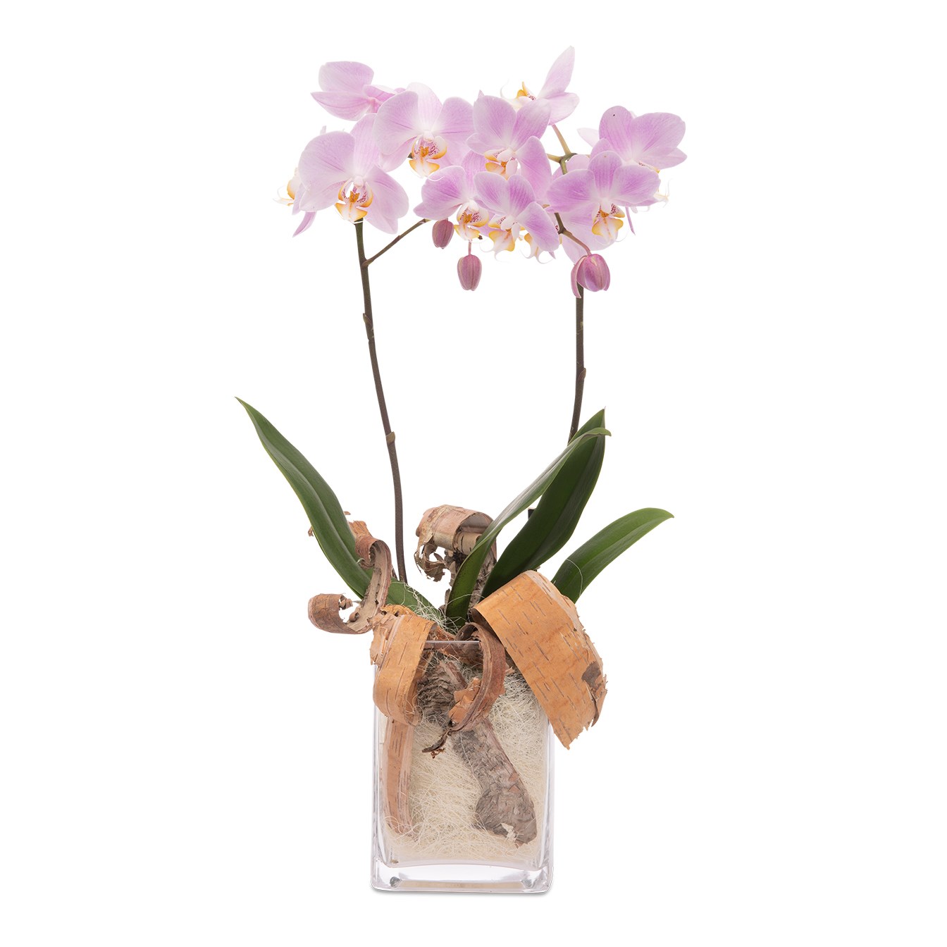 product image for Floral arrangement with pink orchid
