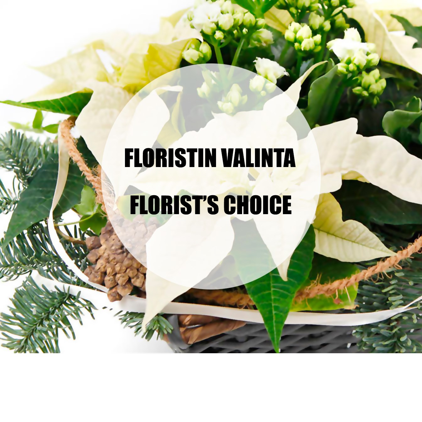 product image for White Christmas planting, florist's choice