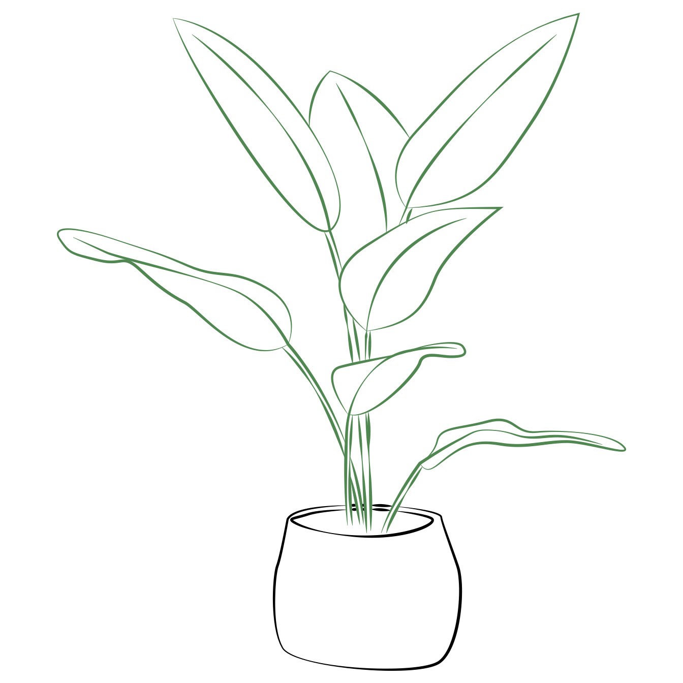 Single Plant