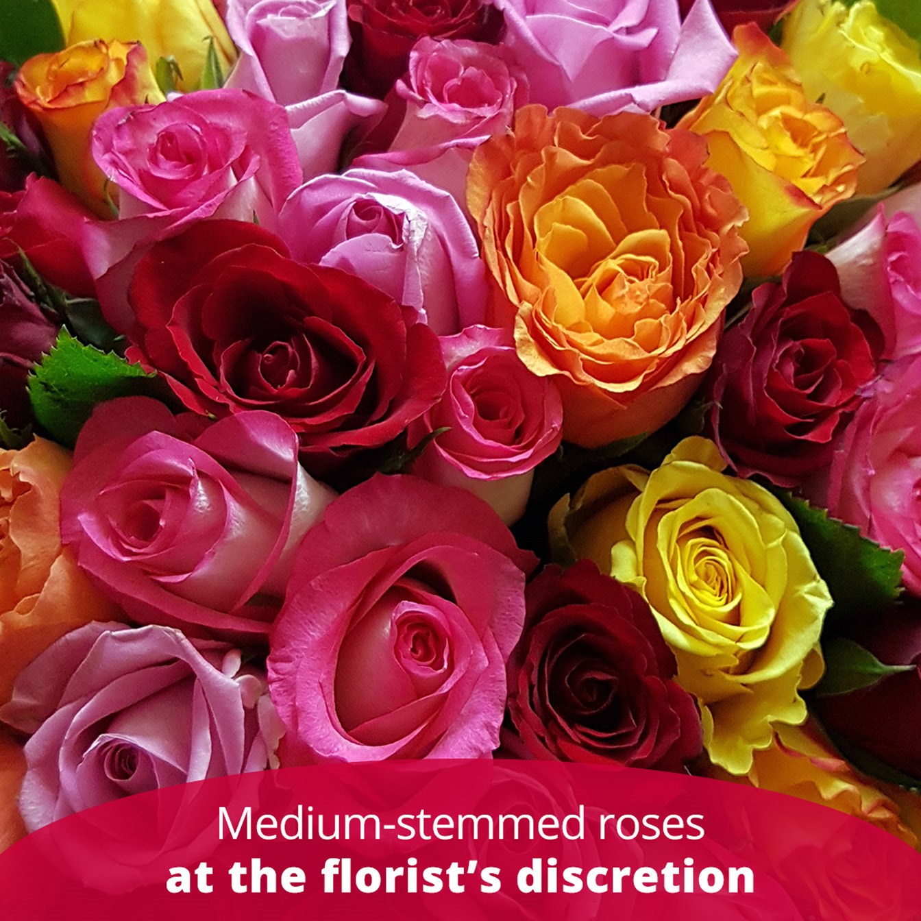 product image for 12 medium stemmed roses