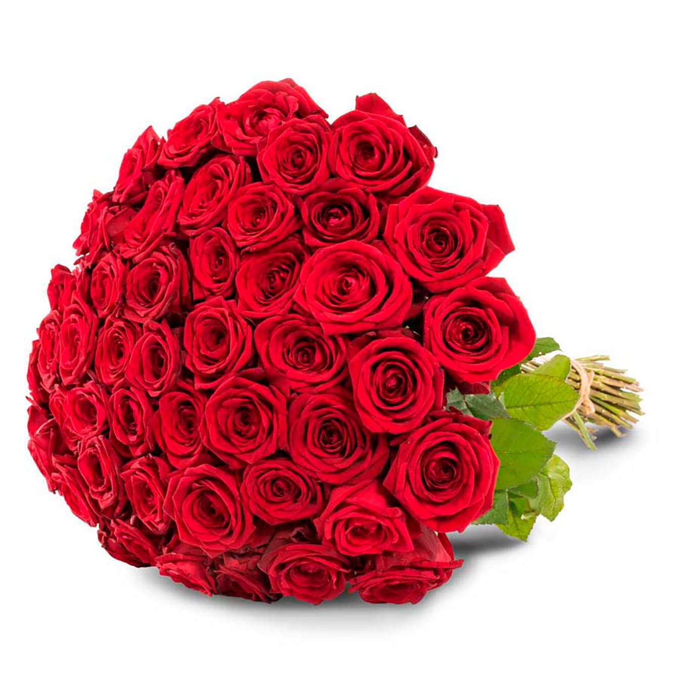 product image for 50 red roses