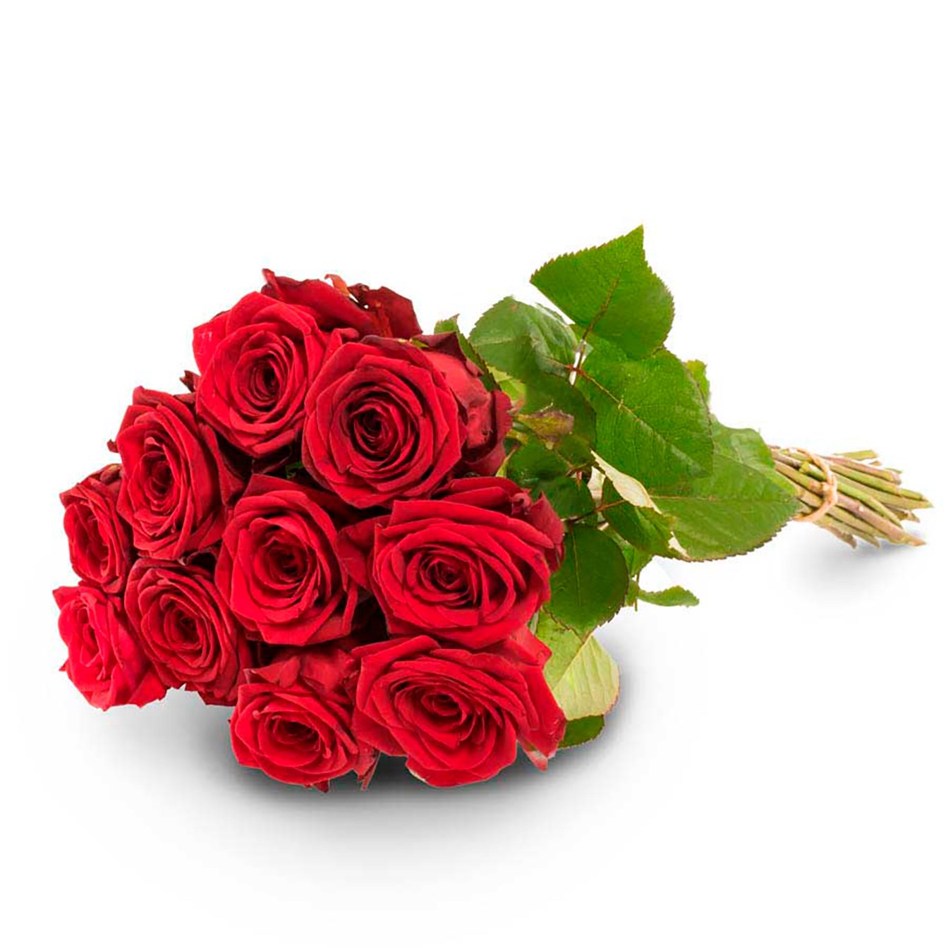 10 red roses
