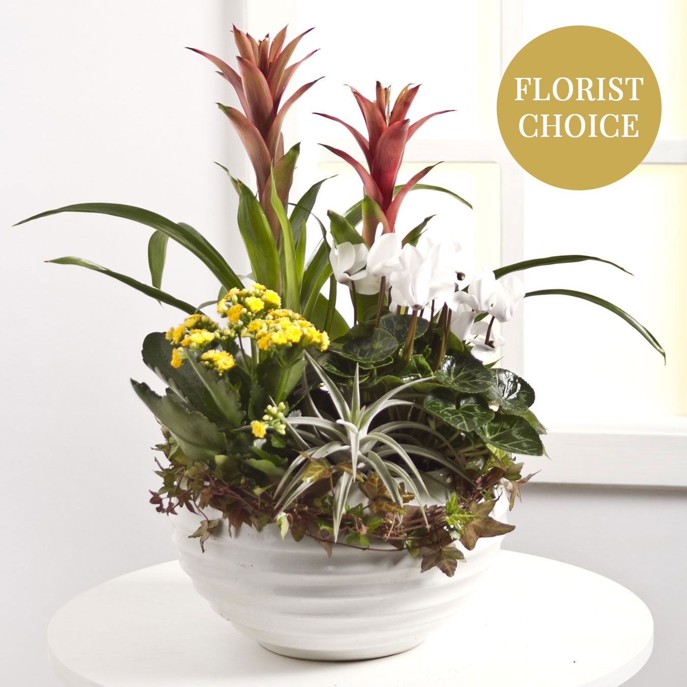 product image for Arrangement of Plants