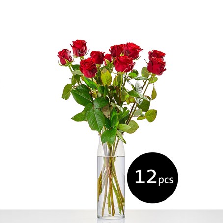 12 roses medium stemmed