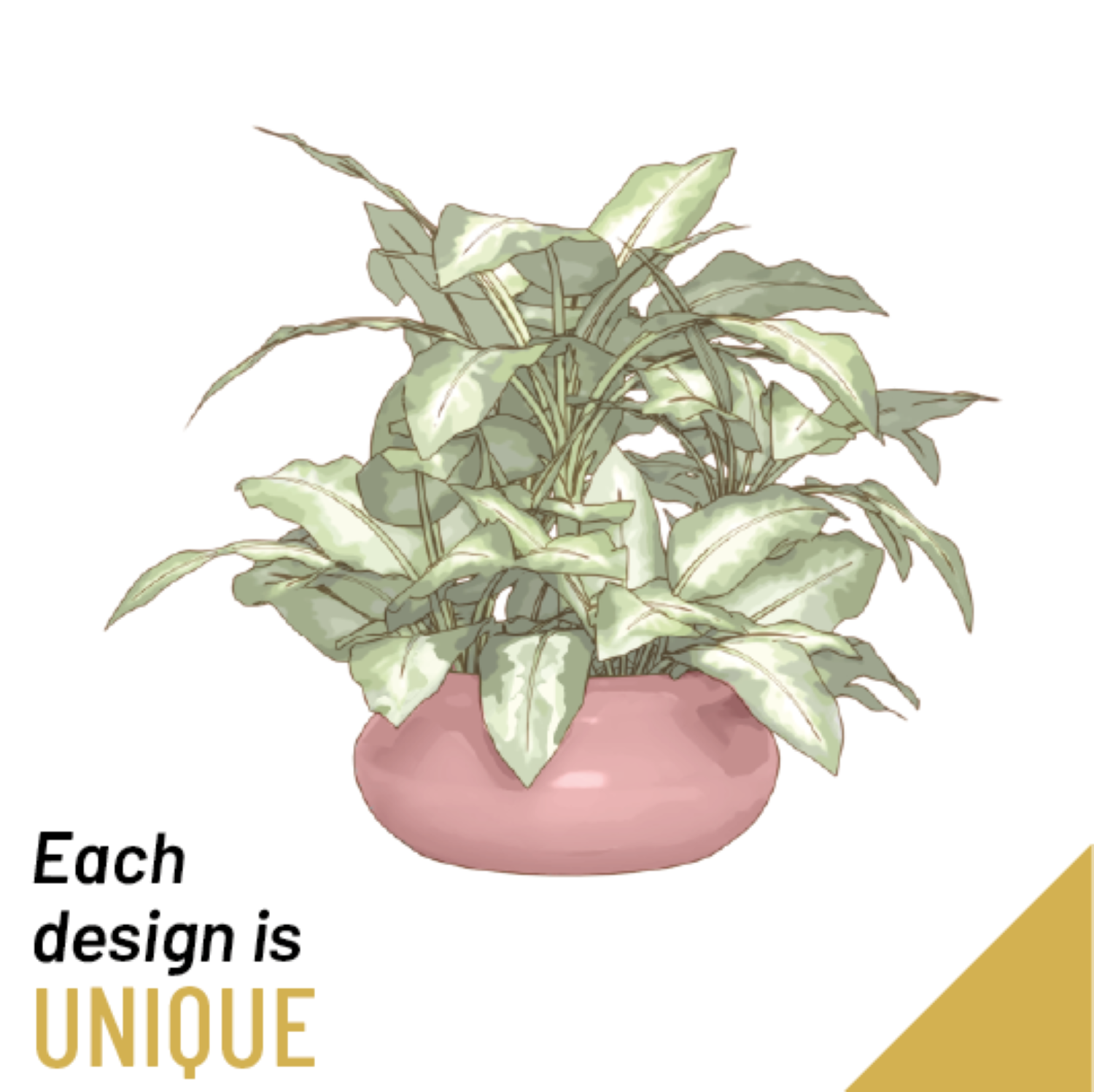 product image for Single Plant