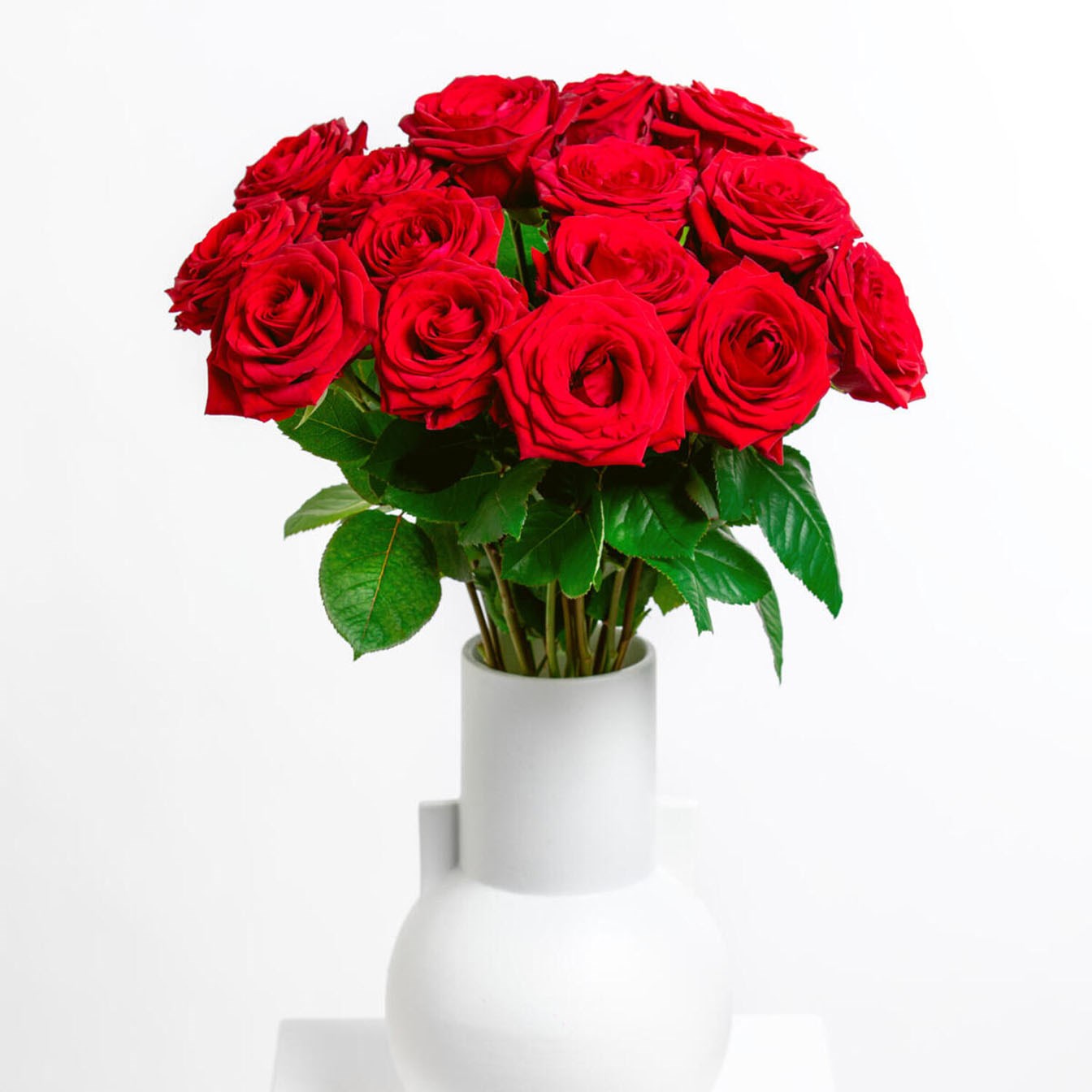 product image for Cavalier of Roses