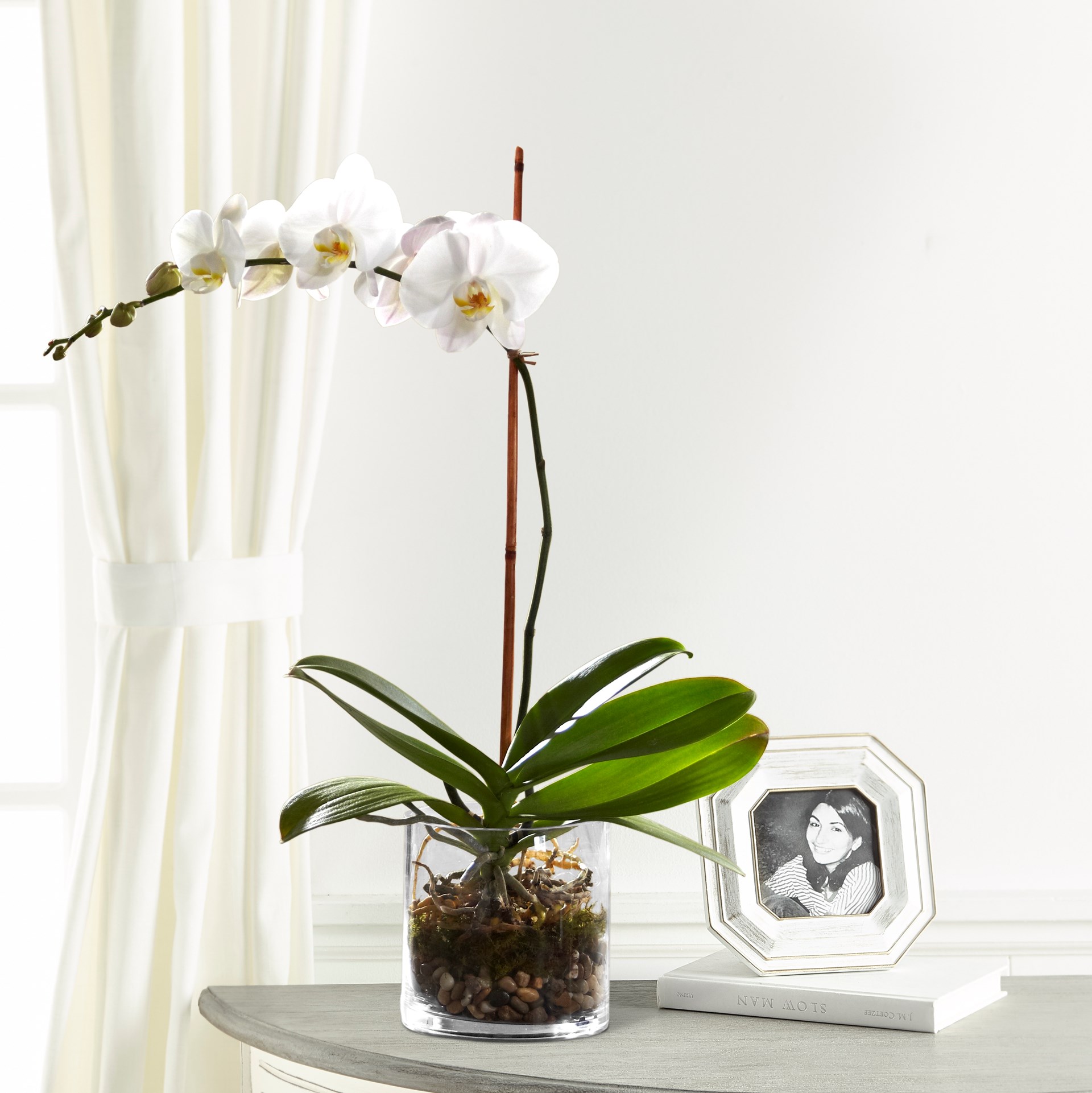 product image for White Orchid Planter