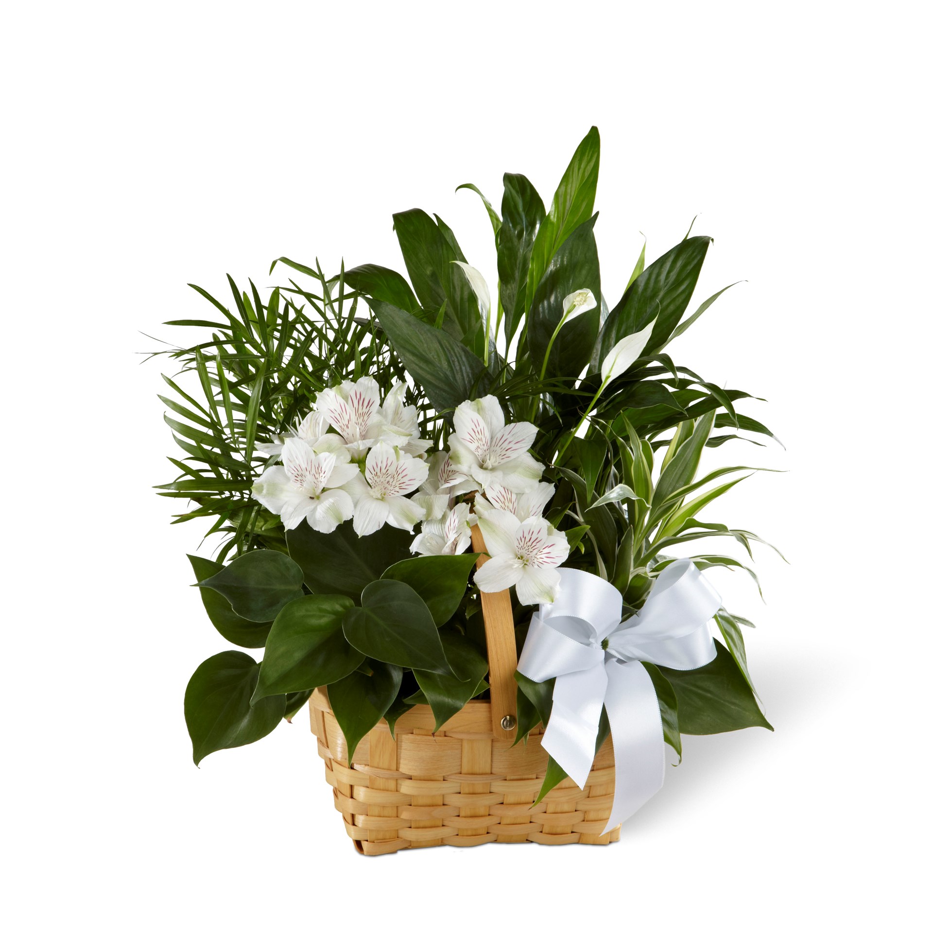 product image for The FTD Peace And Serenity Dishgarden