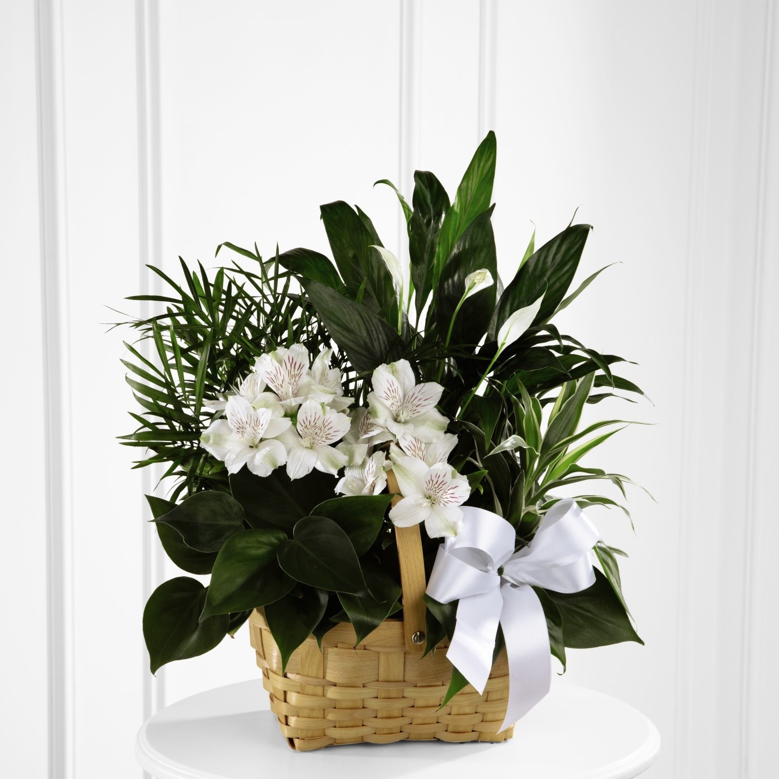 product image for The FTD Peace and Serenity Dishgarden