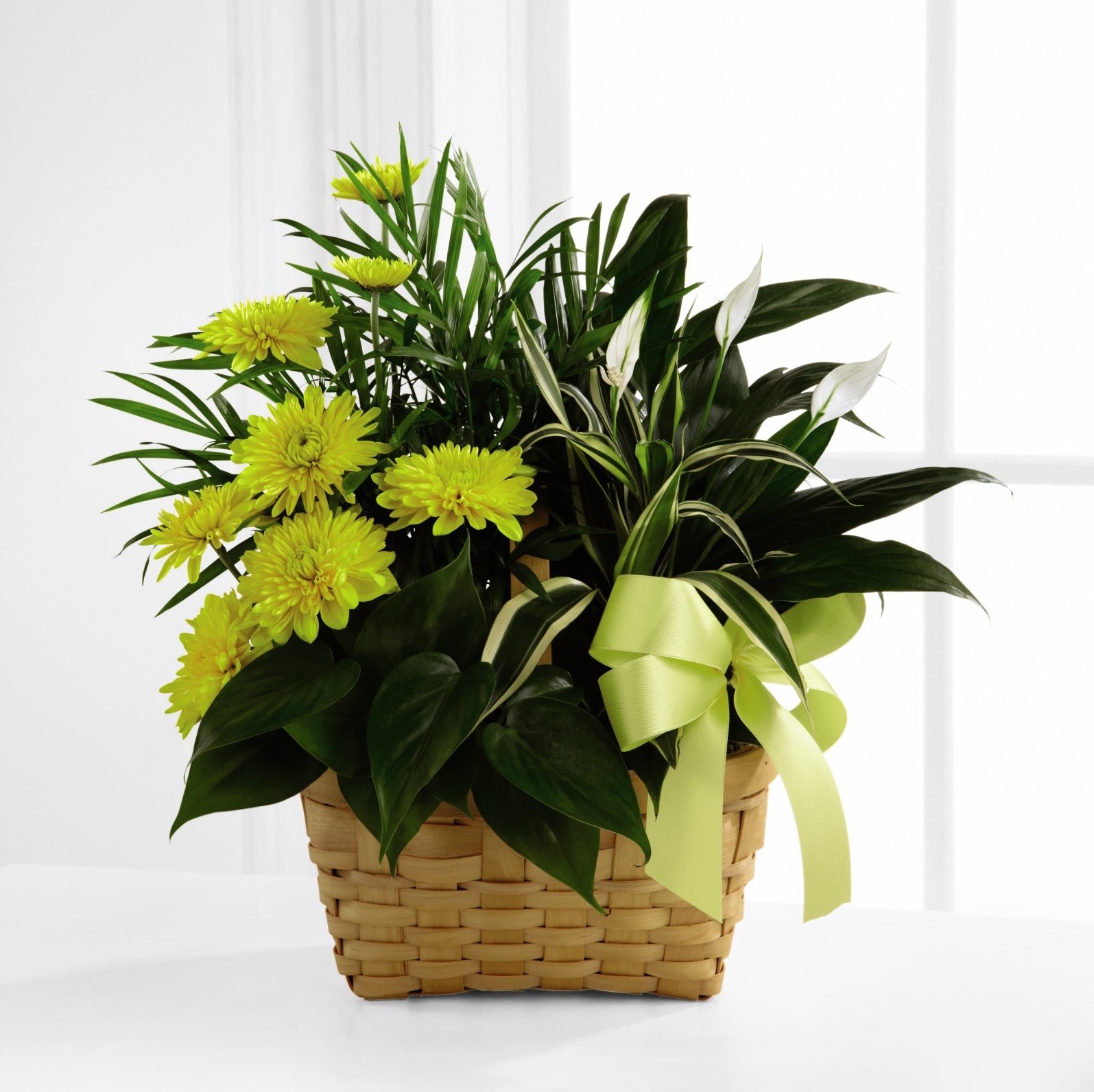 product image for The FTD Loving Light Dishgarden