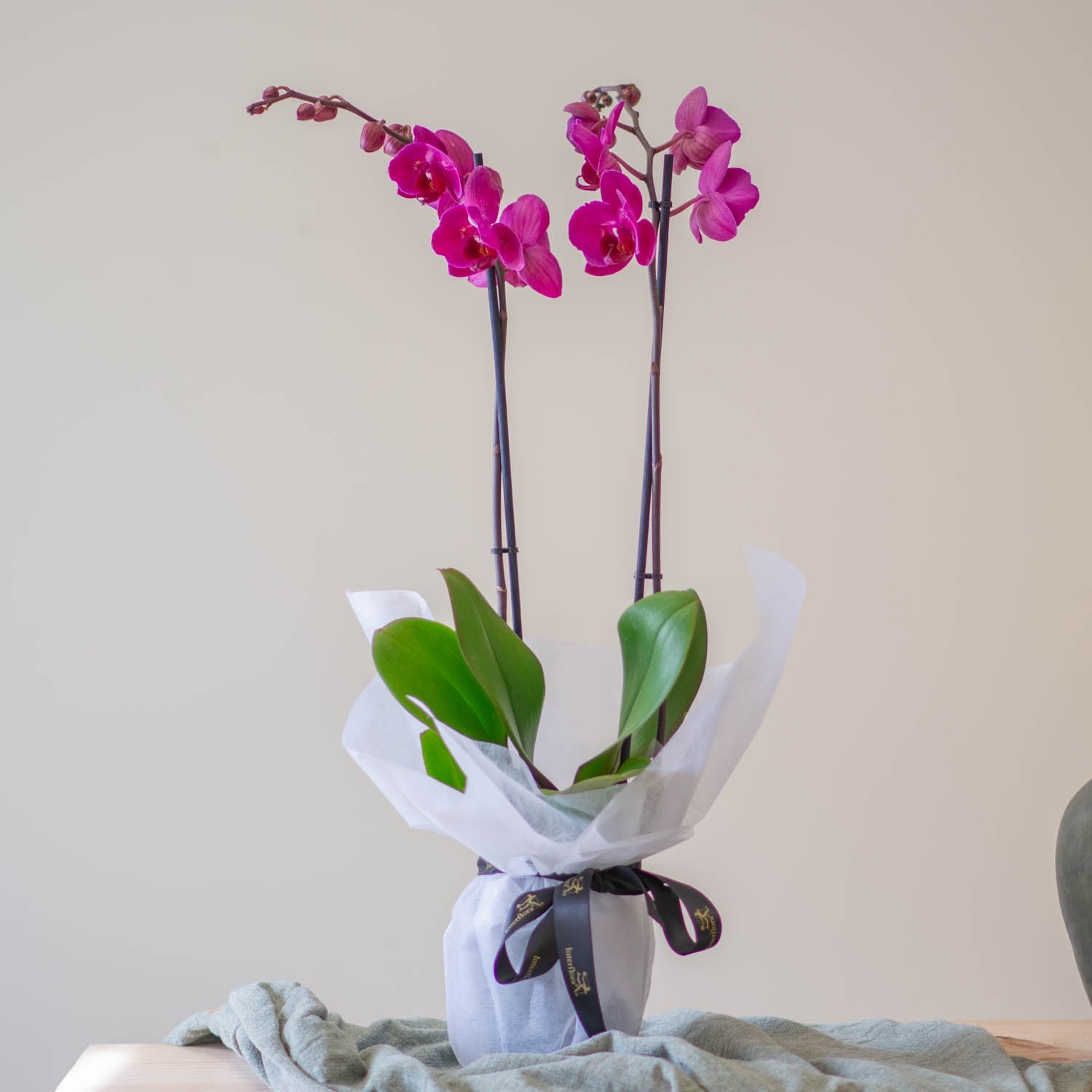 Love Today, Tomorrow, Always Arrangement for Delivery in Ukraine -  Ukraine Orchids Delivery – Ukraine Gift Delivery