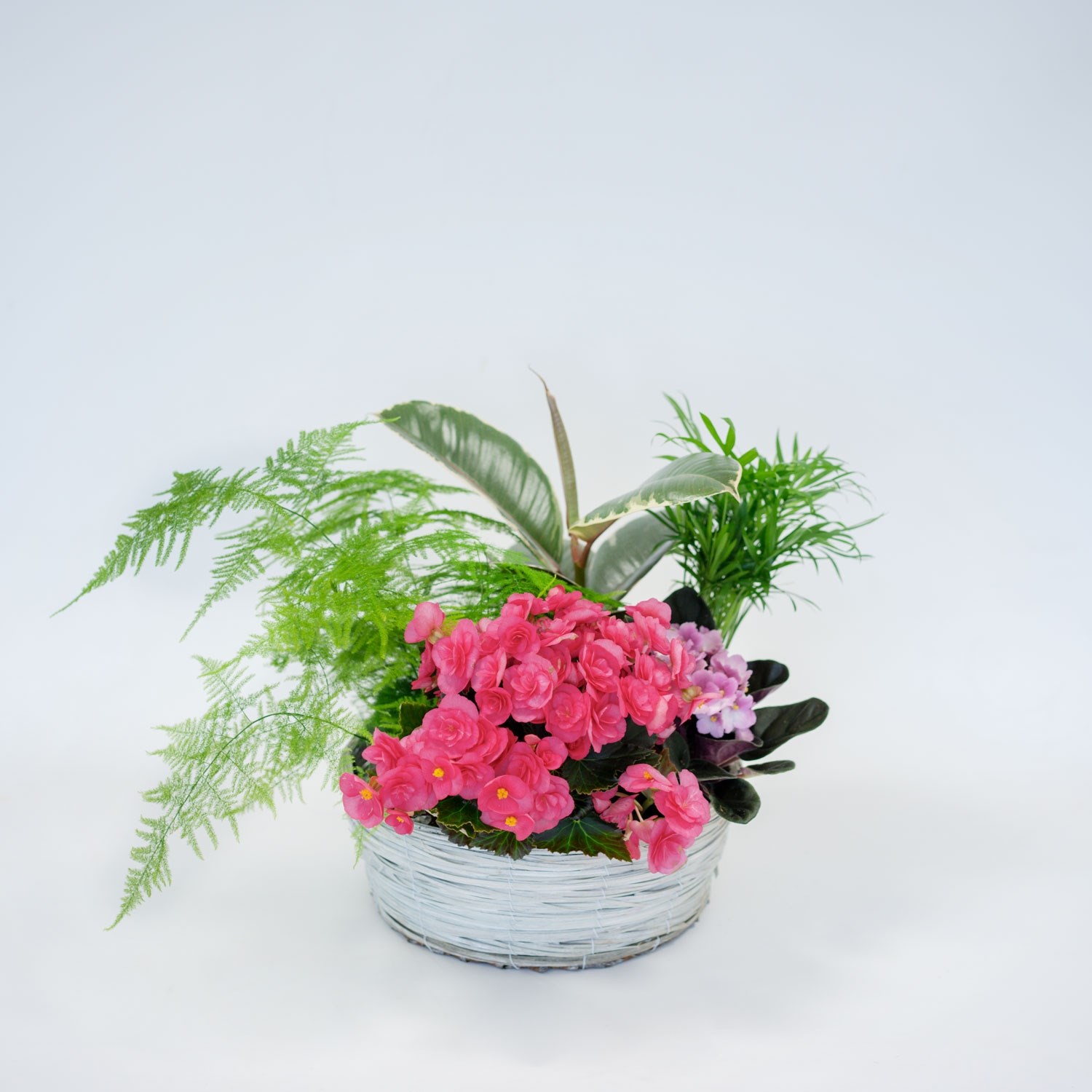 product image for Centrepiece of Plants