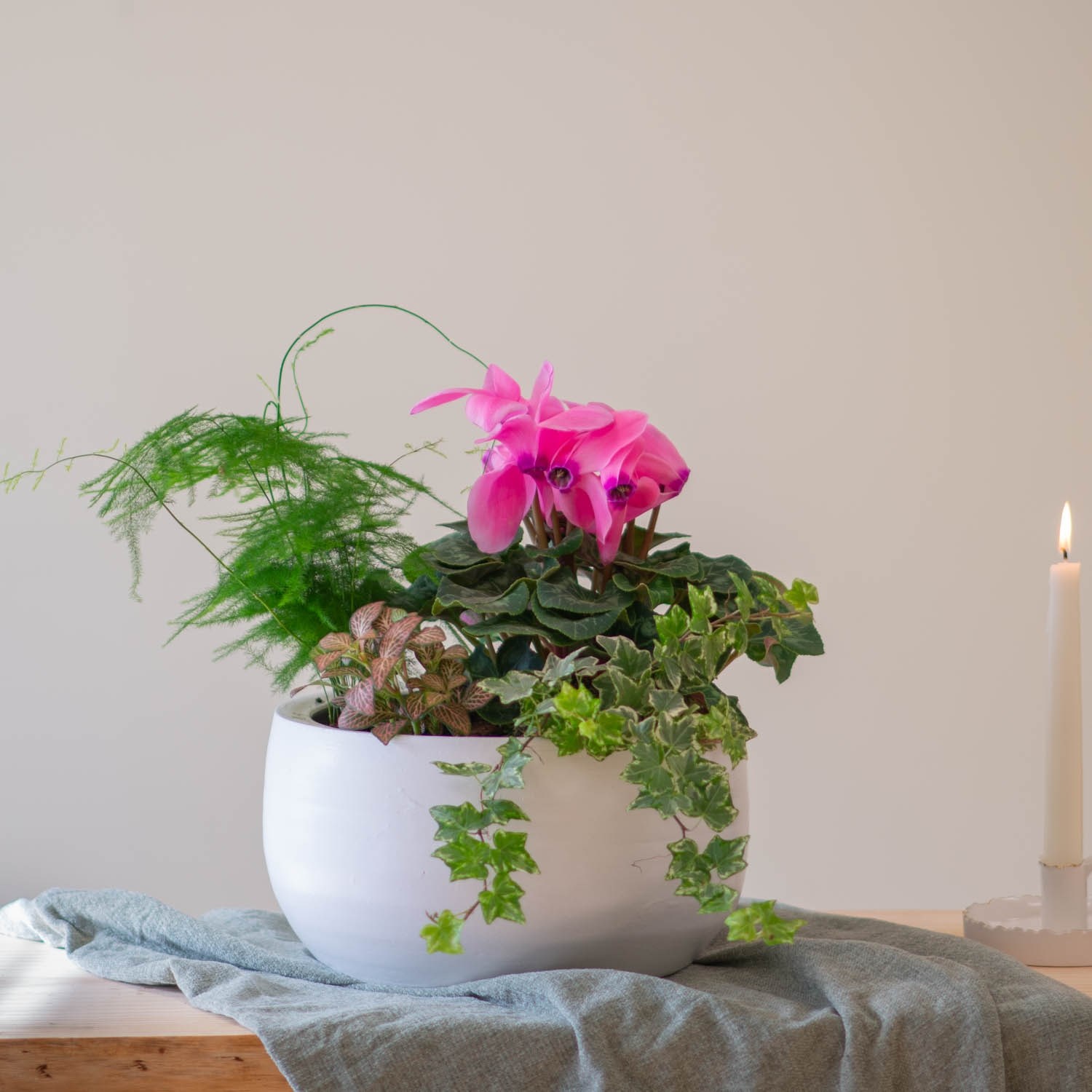 product image for Centrepiece of Mixed Plants