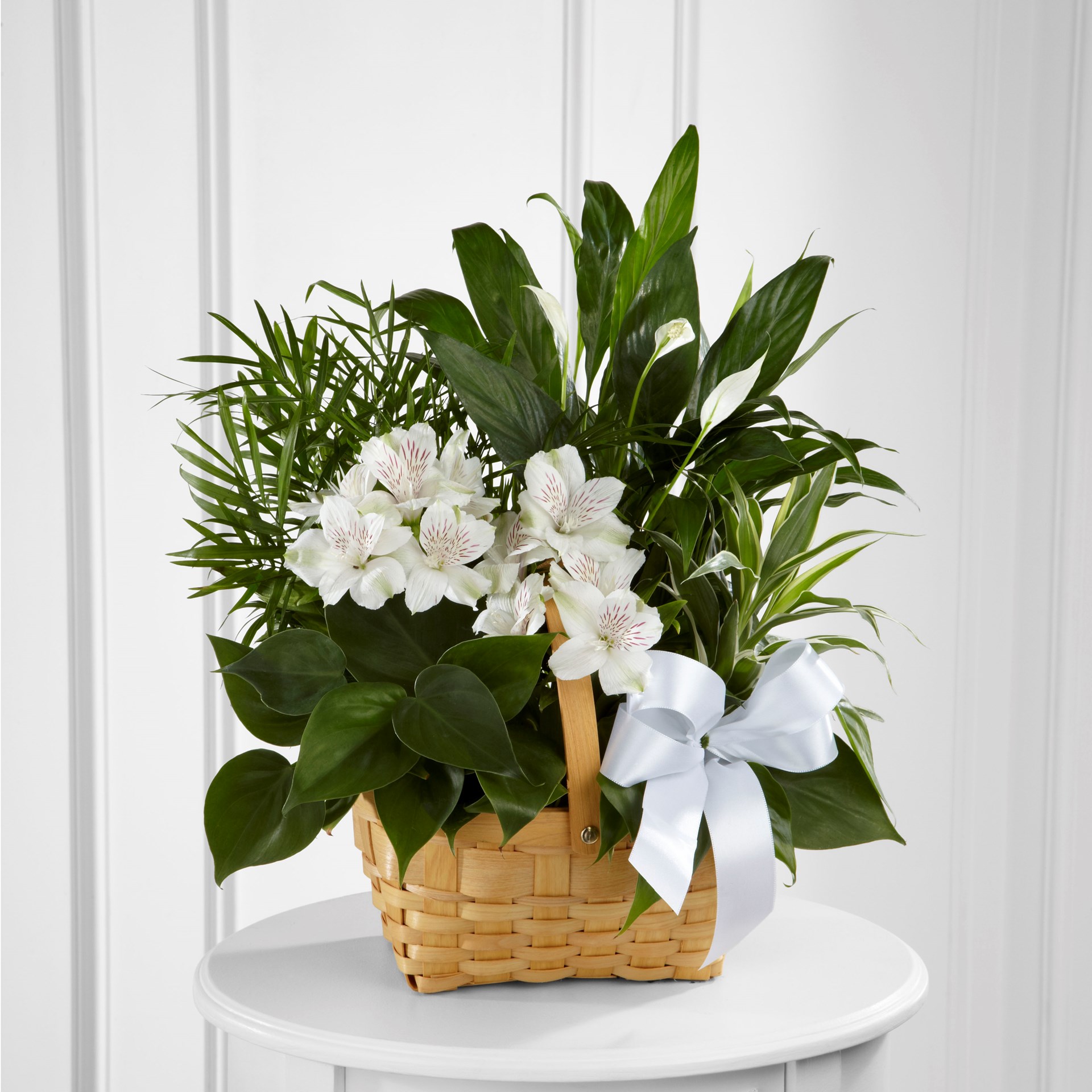 product image for The FTD Peace And Serenity Dishgarden