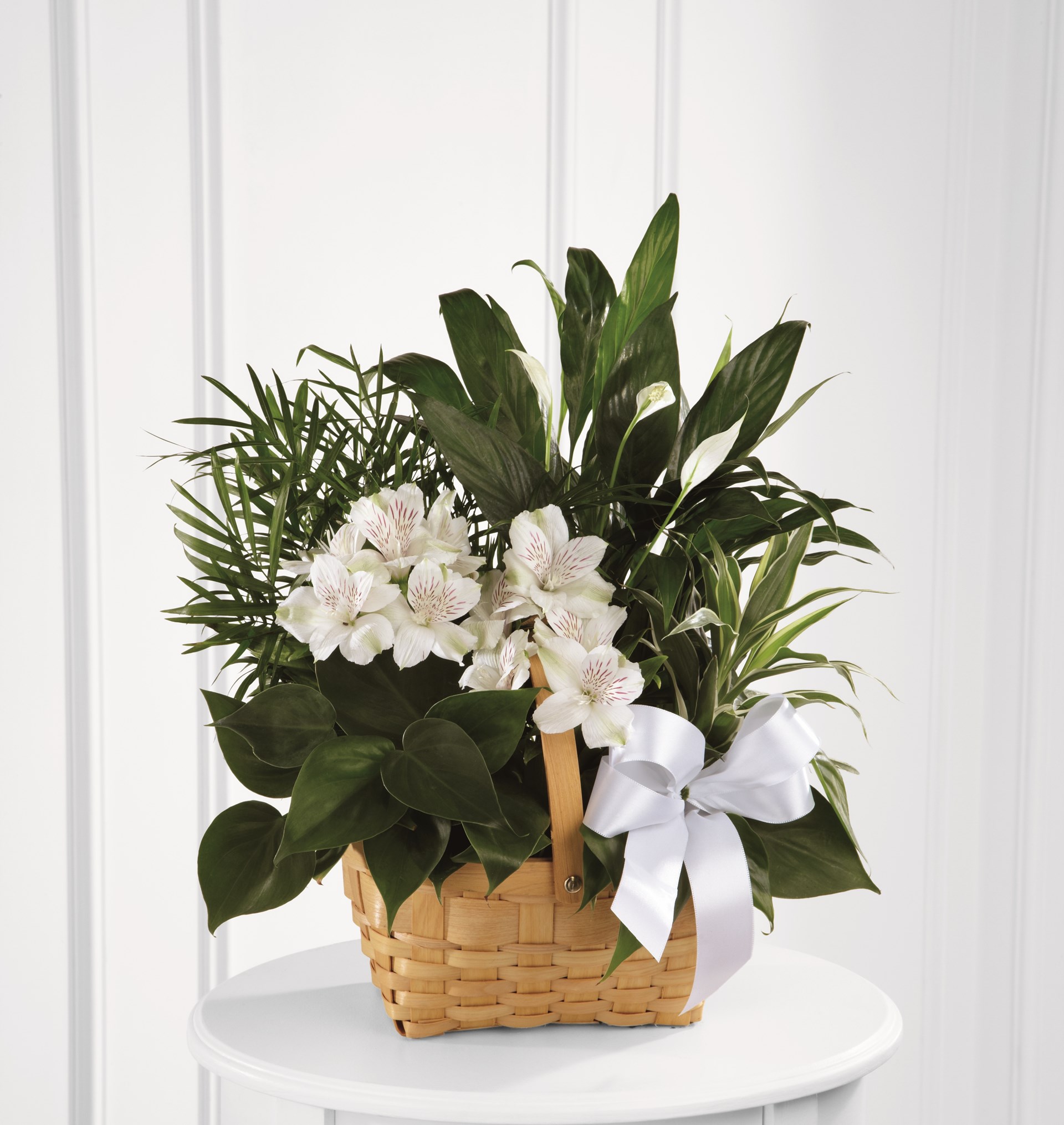product image for The FTD Peace And Serenity Dishgarden