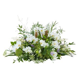 Chloë
