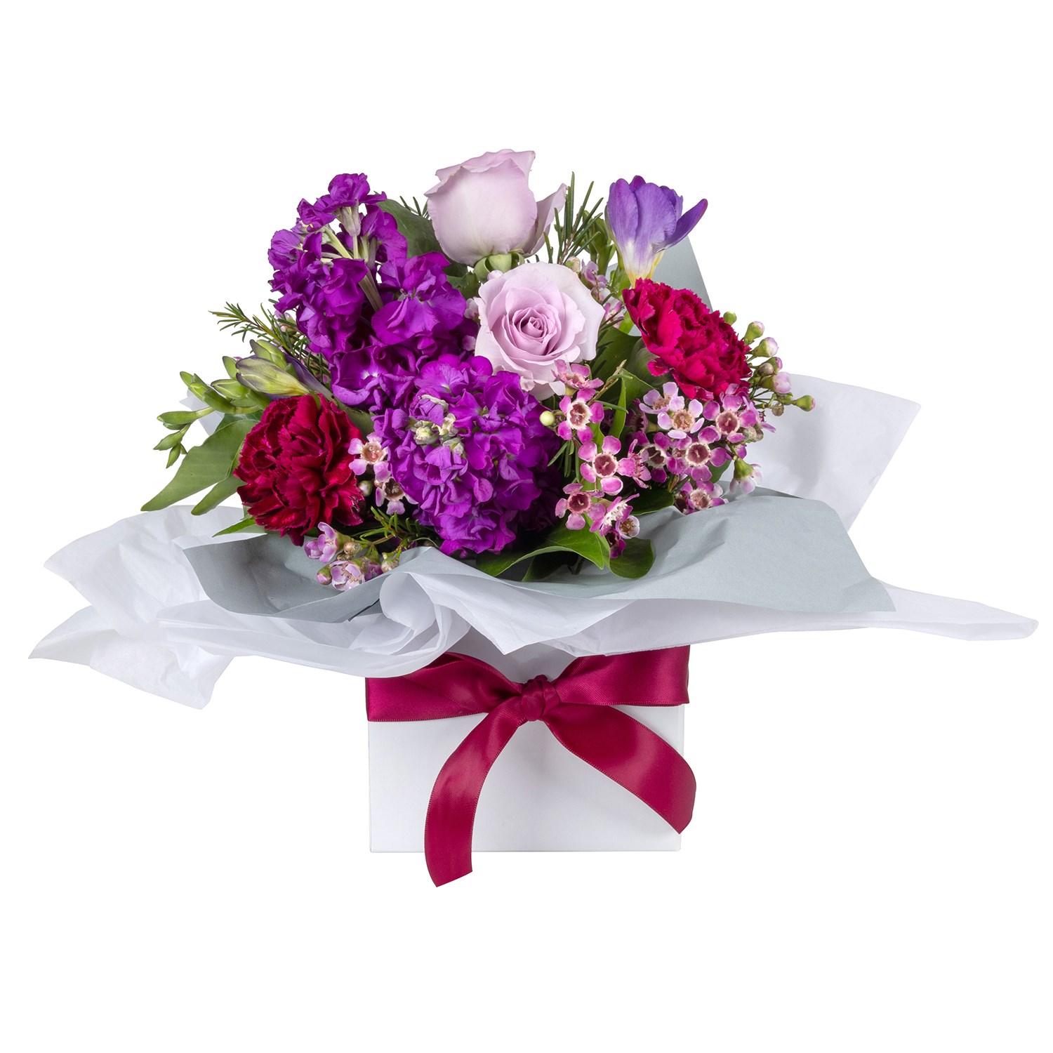 Enchanted Freesia