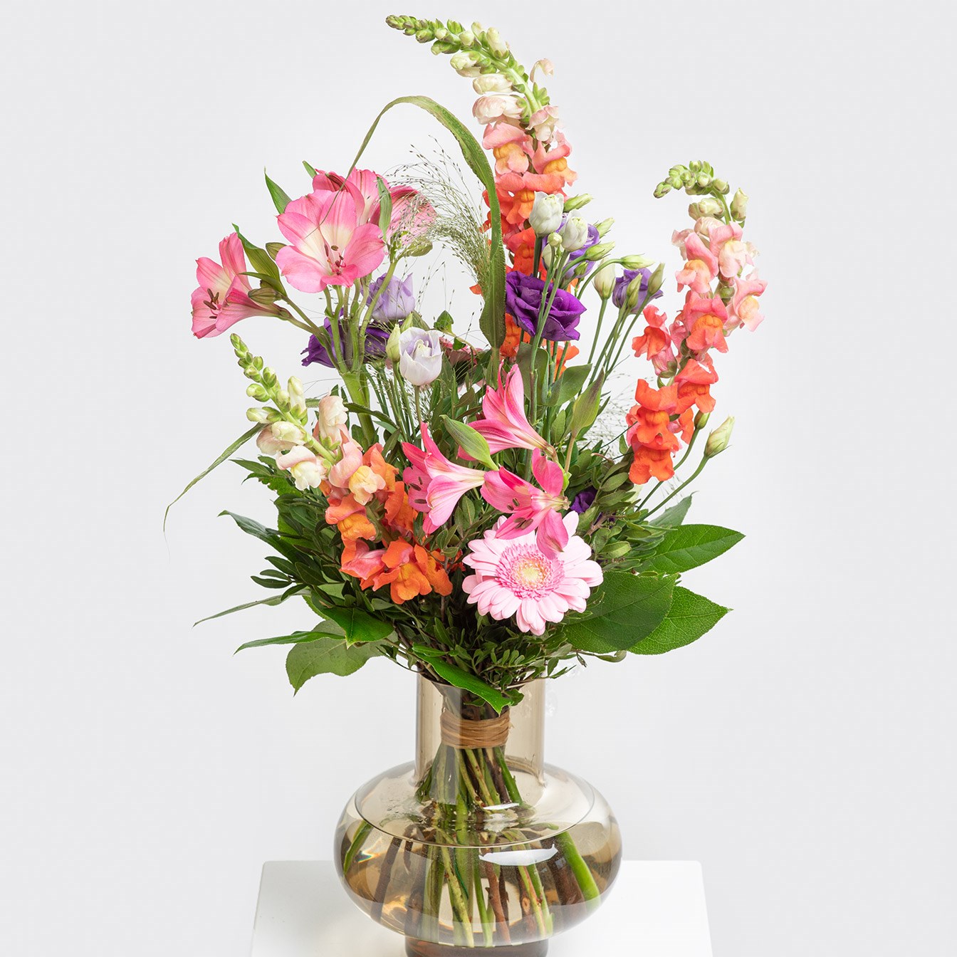 product image for Bohemian Kiss