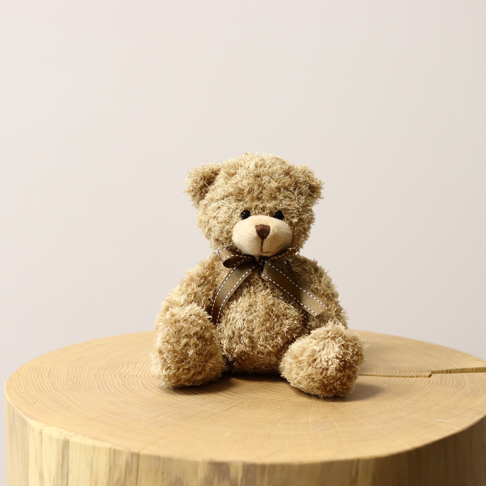 product image for Teddy Bear