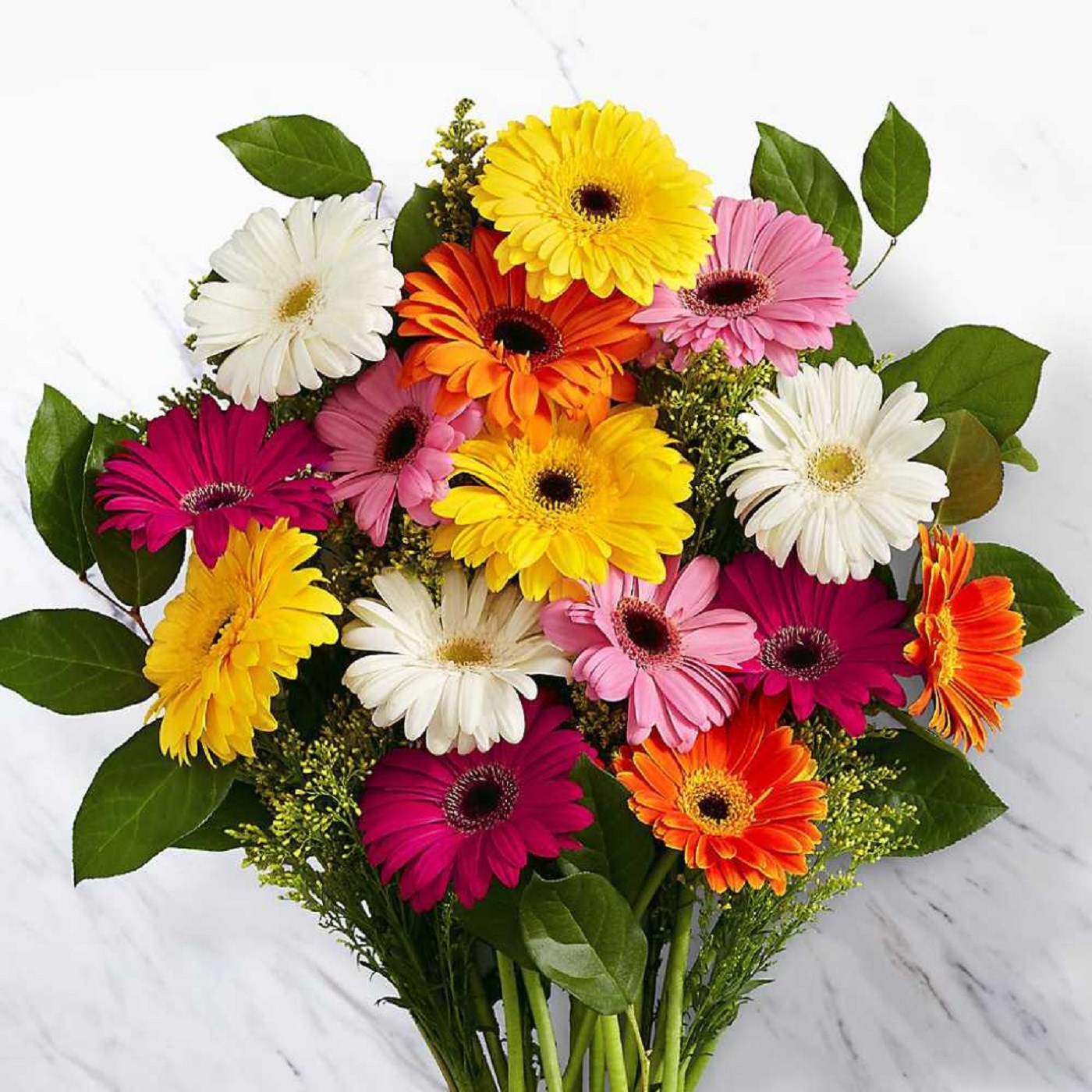 product image for Mixed Gerbera Bunch