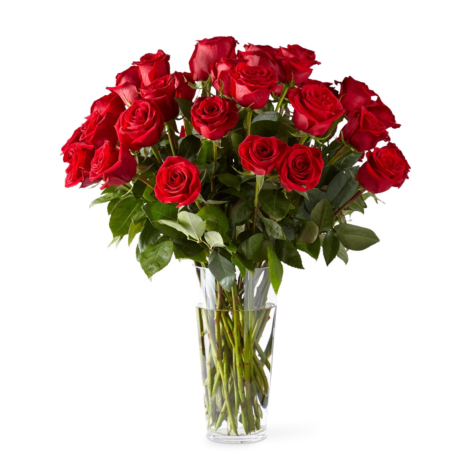 Premium Red Rose Bouquet